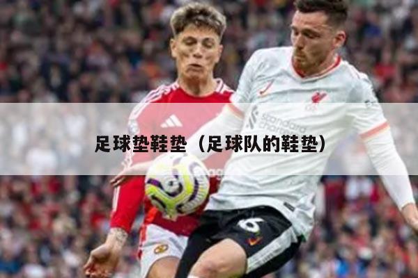 足球垫鞋垫（足球队的鞋垫）