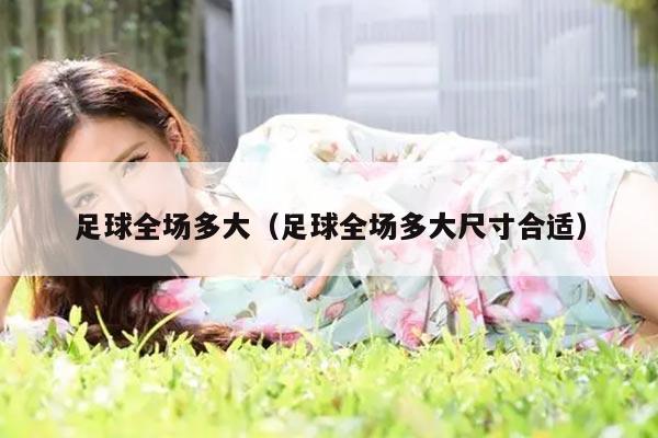 足球全场多大（足球全场多大尺寸合适）