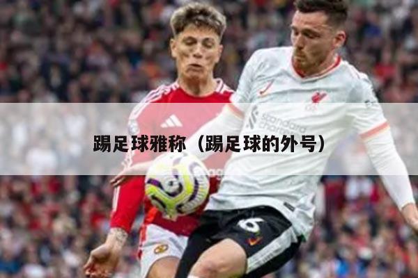 踢足球雅称（踢足球的外号）