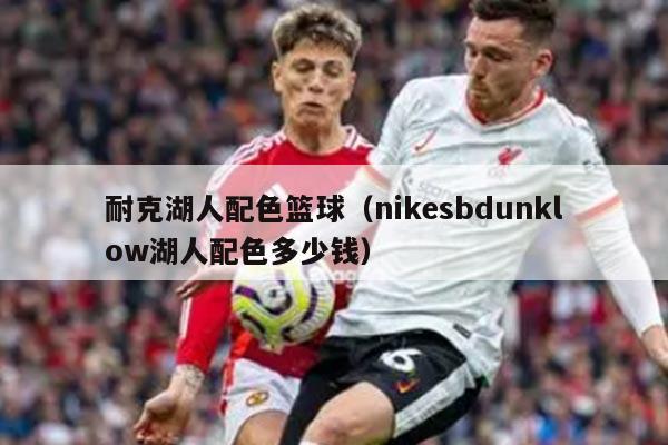 耐克湖人配色篮球（nikesbdunklow湖人配色多少钱）