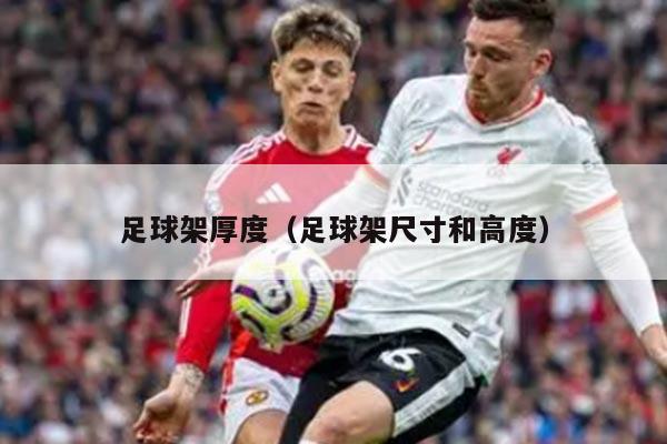 足球架厚度（足球架尺寸和高度）