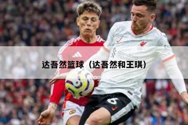 达吾然篮球（达吾然和王琪）