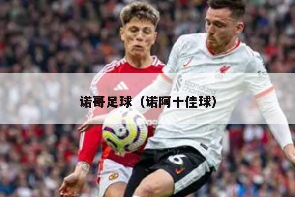 诺哥足球（诺阿十佳球）