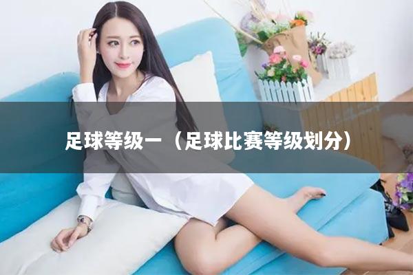 足球等级一（足球比赛等级划分）