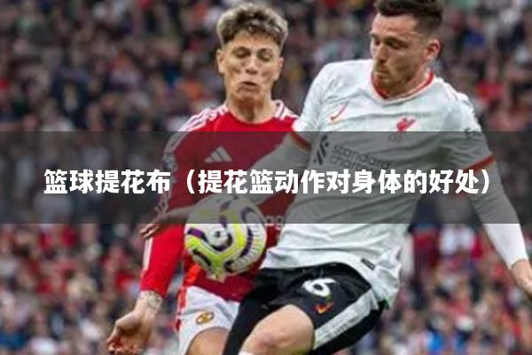 篮球提花布（提花篮动作对身体的好处）