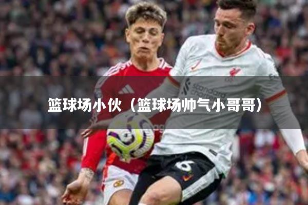 篮球场小伙（篮球场帅气小哥哥）