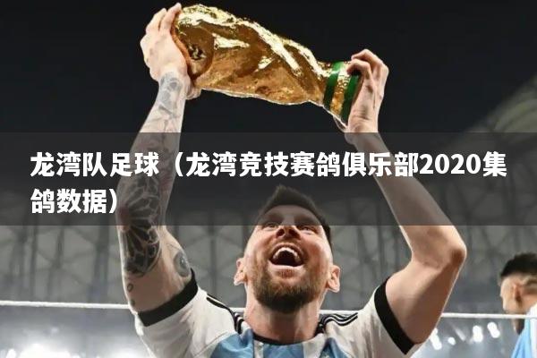 龙湾队足球（龙湾竞技赛鸽俱乐部2020集鸽数据）