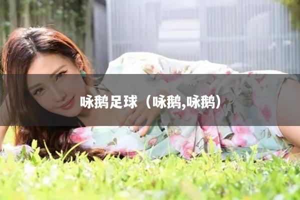 咏鹅足球（咏鹅,咏鹅）