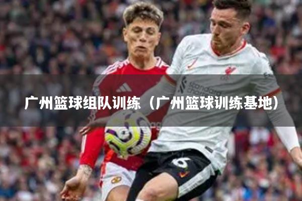 广州篮球组队训练(广州篮球训练基地)