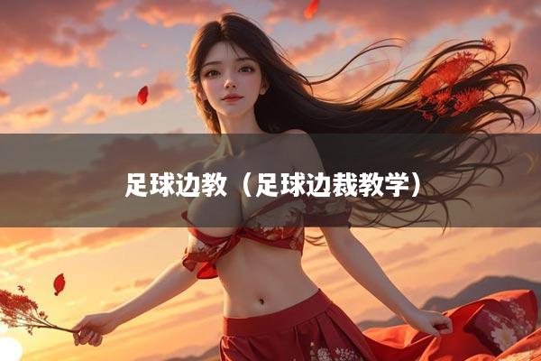足球边教（足球边裁教学）
