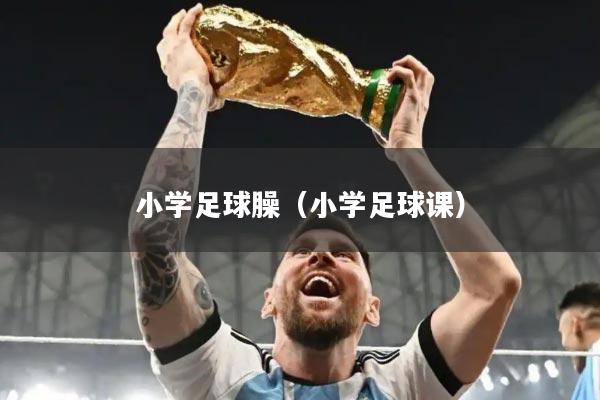 小学足球臊(小学足球课)