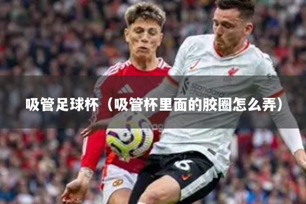 吸管足球杯(吸管杯里面的胶圈怎么弄)